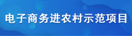 电子商务进农村示范项目