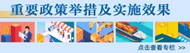 重要政策举措及实施效果